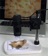 Microscopio digital Proscope-EDU